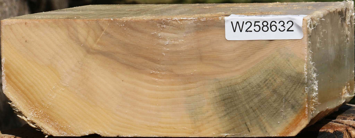 Black Cottonwood Bowl Blank
