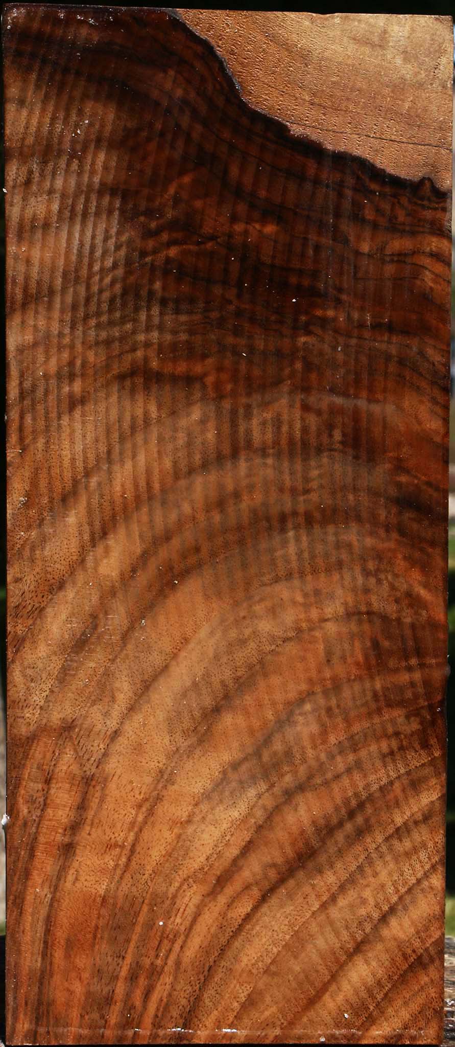 Figured English Walnut Vessel Blank