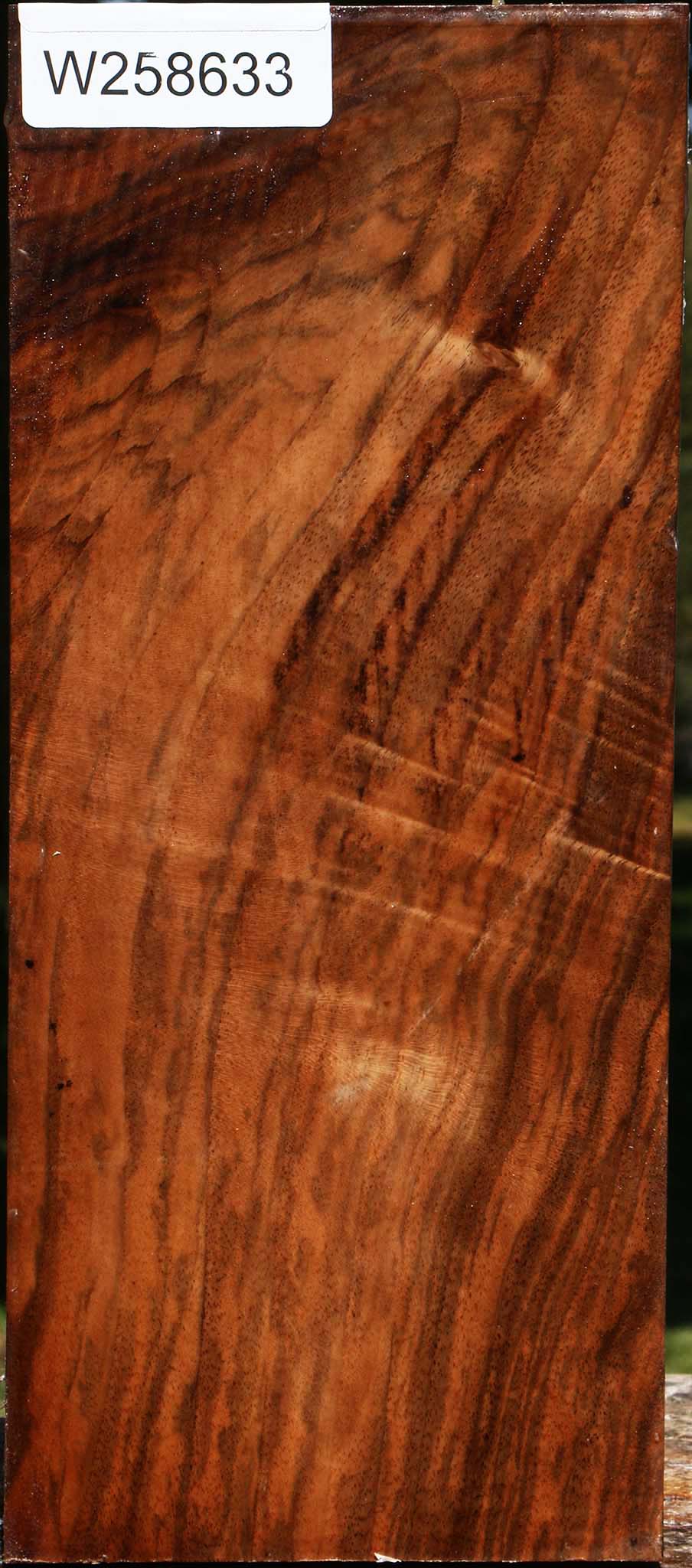 Figured English Walnut Vessel Blank
