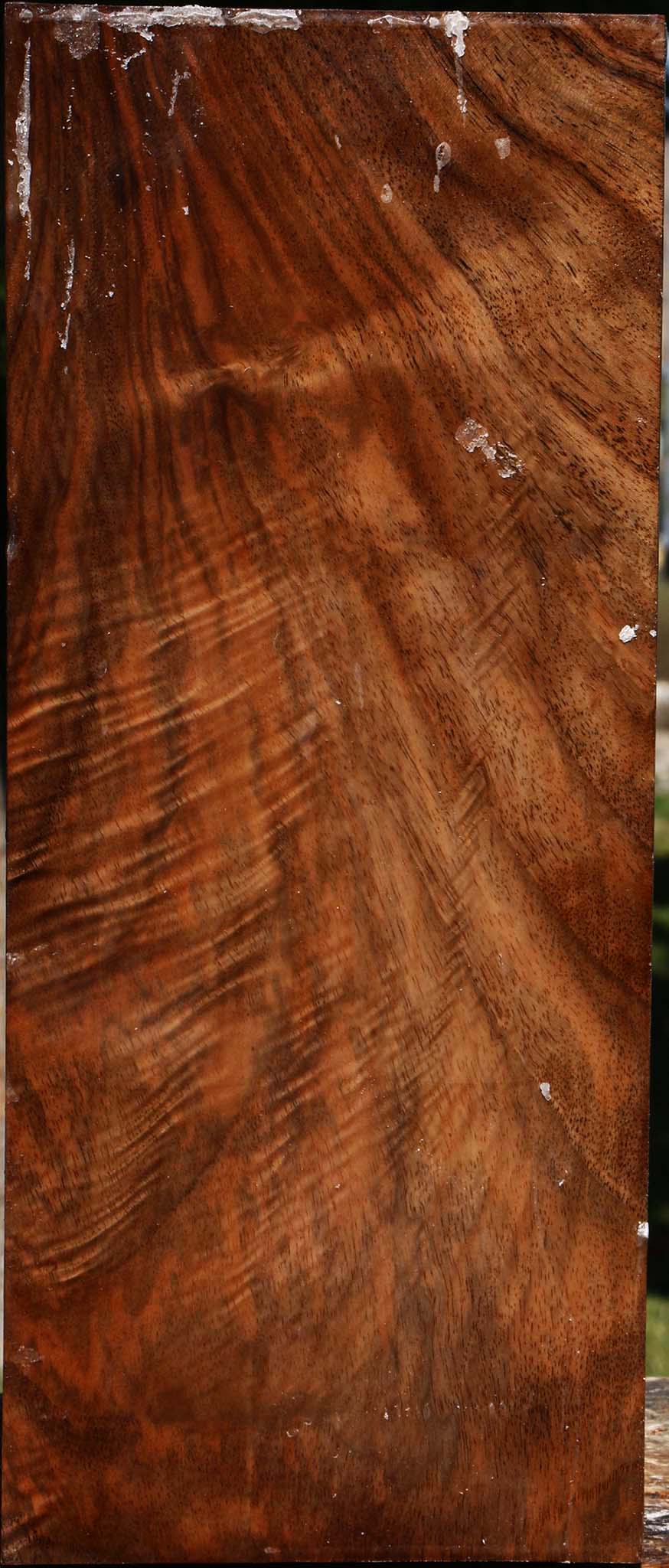 Figured English Walnut Vessel Blank