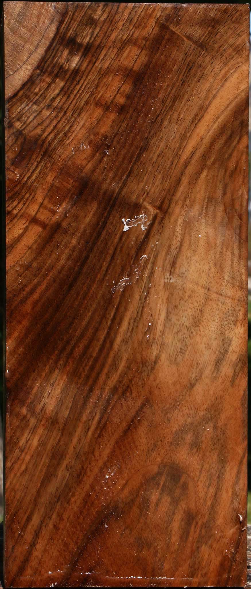 Figured English Walnut Vessel Blank