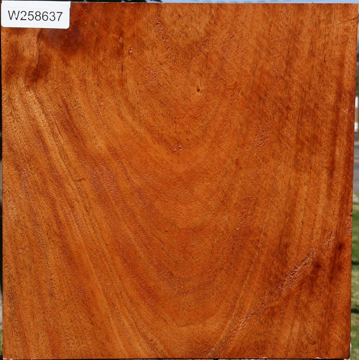 African Mahogany Bowl Blank