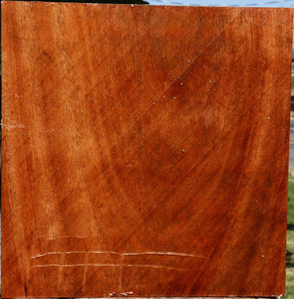 African Mahogany Bowl Blank