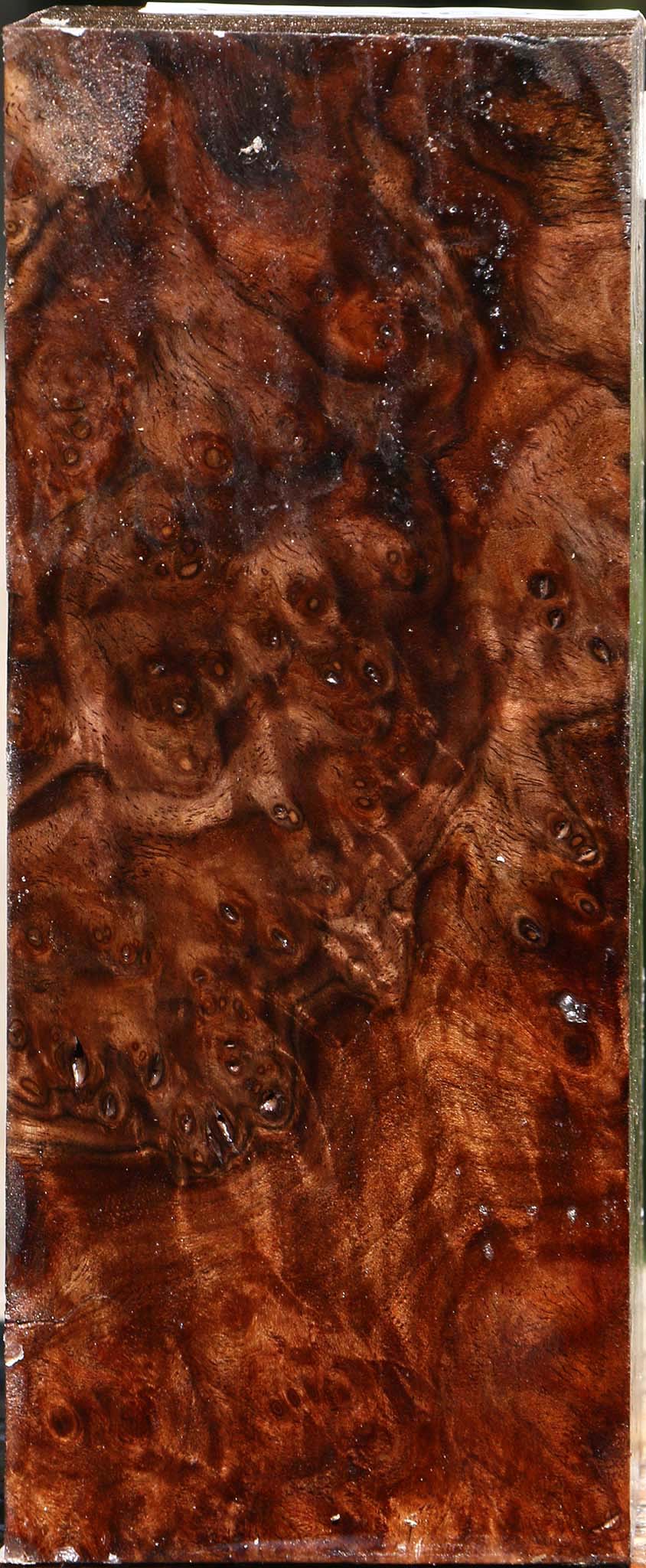 Claro Walnut Burl Turning Square