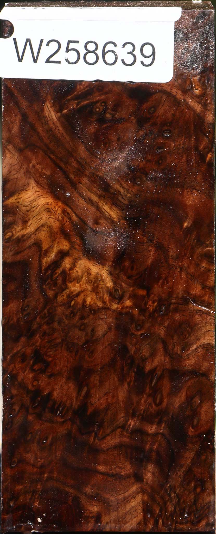 Claro Walnut Burl Turning Square