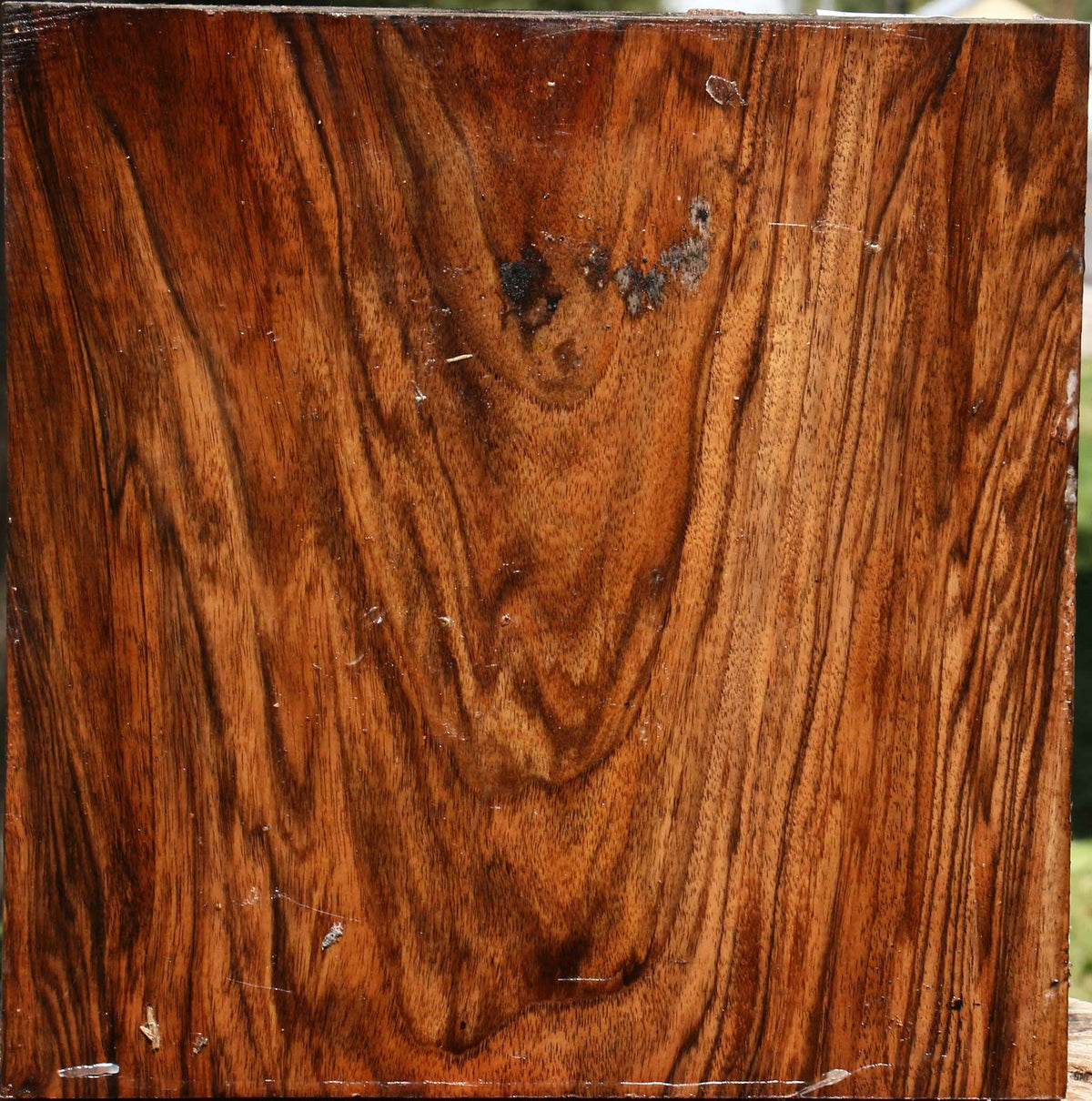 Extra Fancy English Walnut Bowl Blank