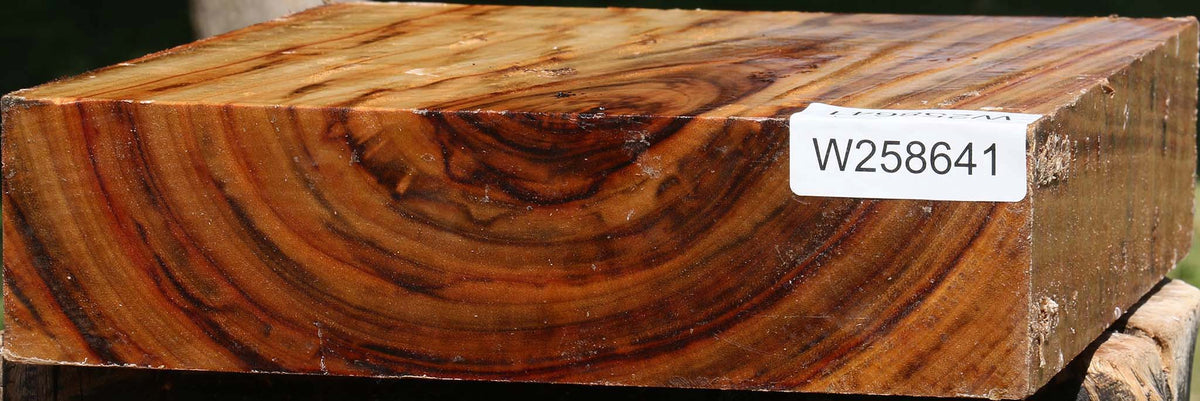 Figured Camphor Bowl Blank