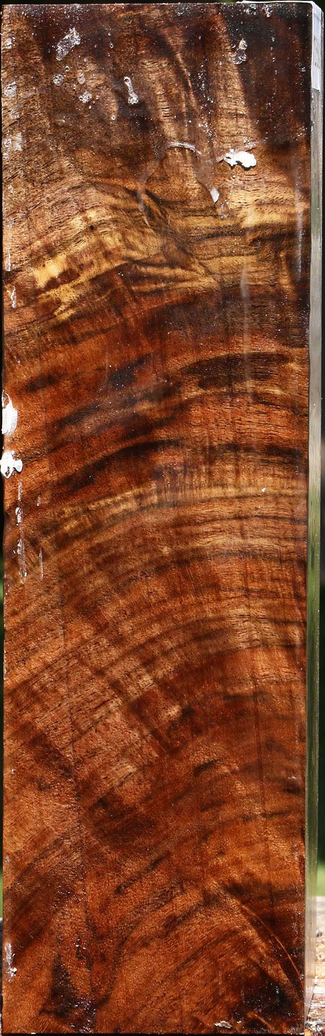Extra Fancy Crotchwood Claro Walnut Peppermill
