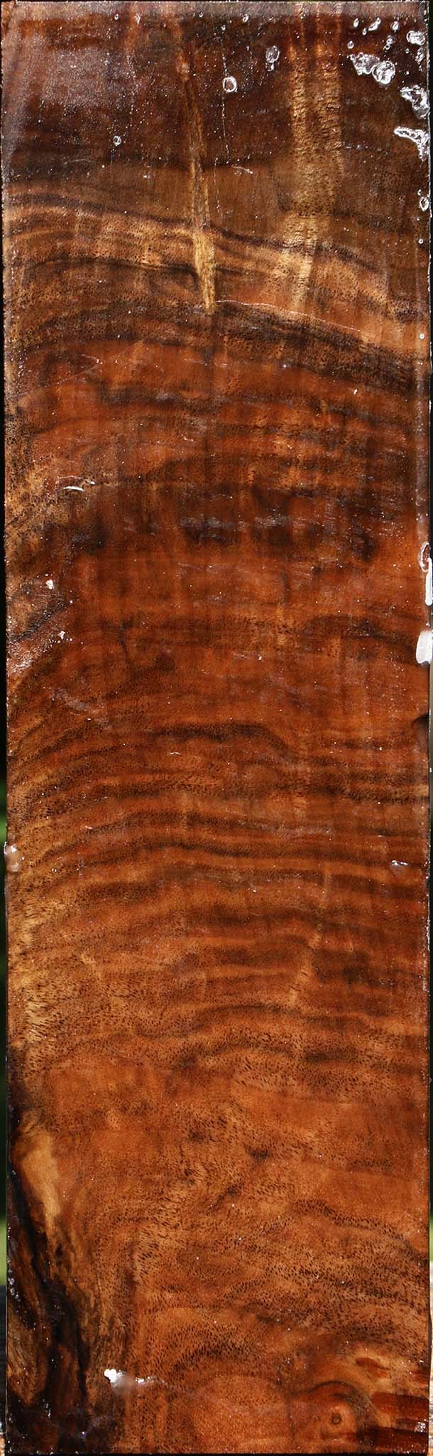 Extra Fancy Crotchwood Claro Walnut Peppermill