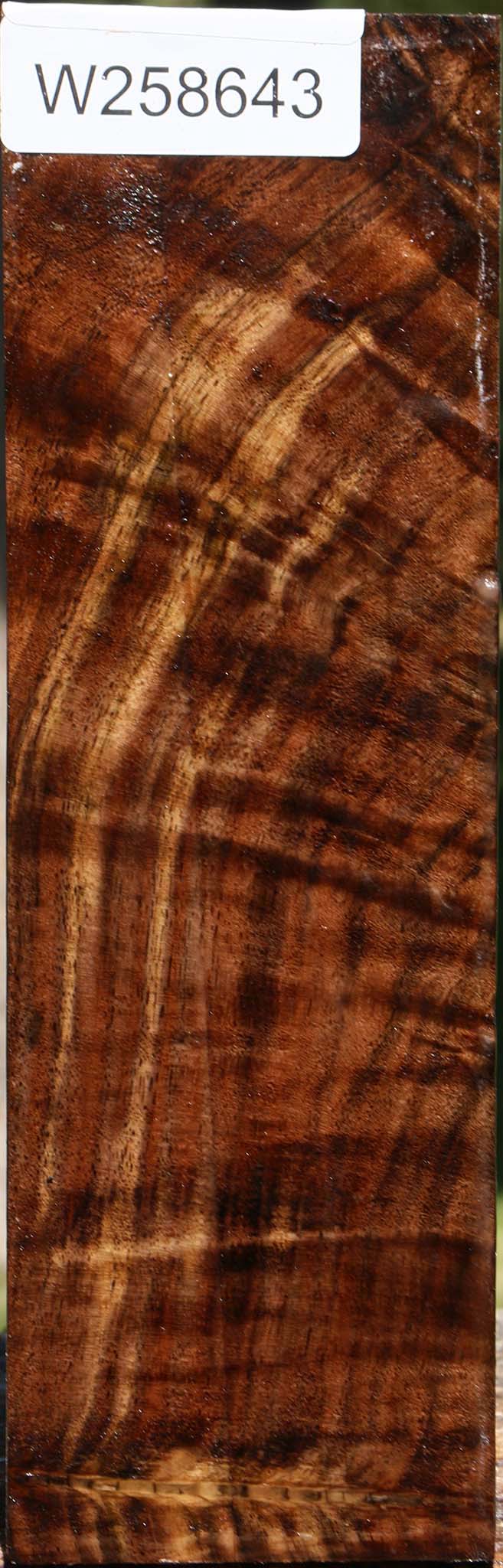 Extra Fancy Claro Walnut Peppermill