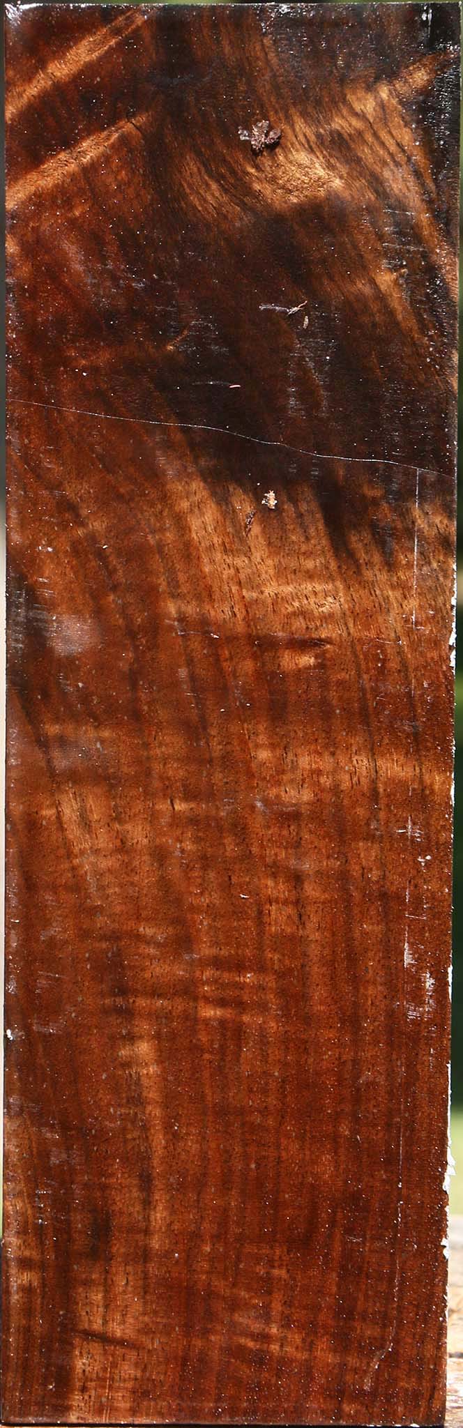 Extra Fancy Claro Walnut Peppermill