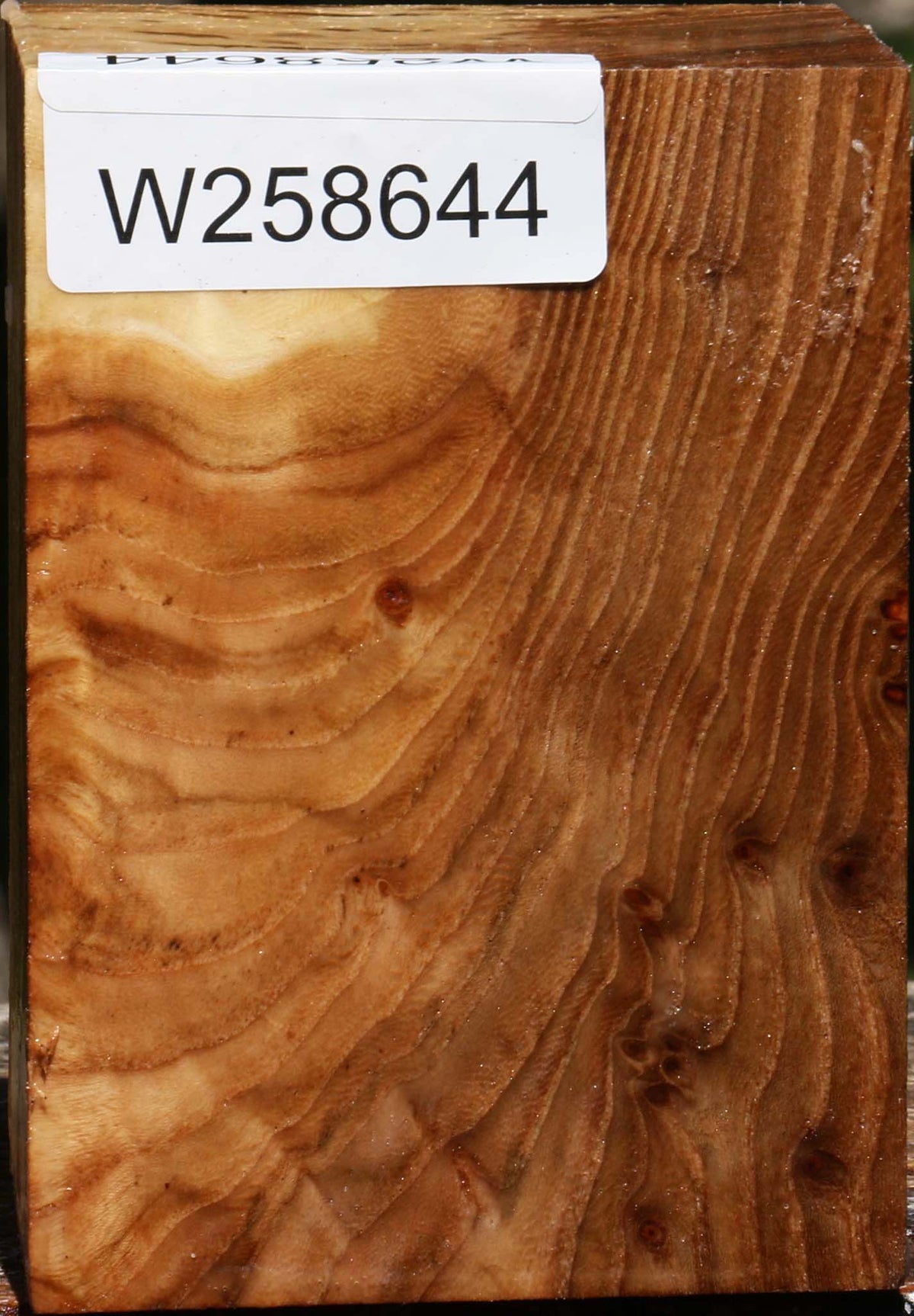 Extra Fancy Elm Turning Square