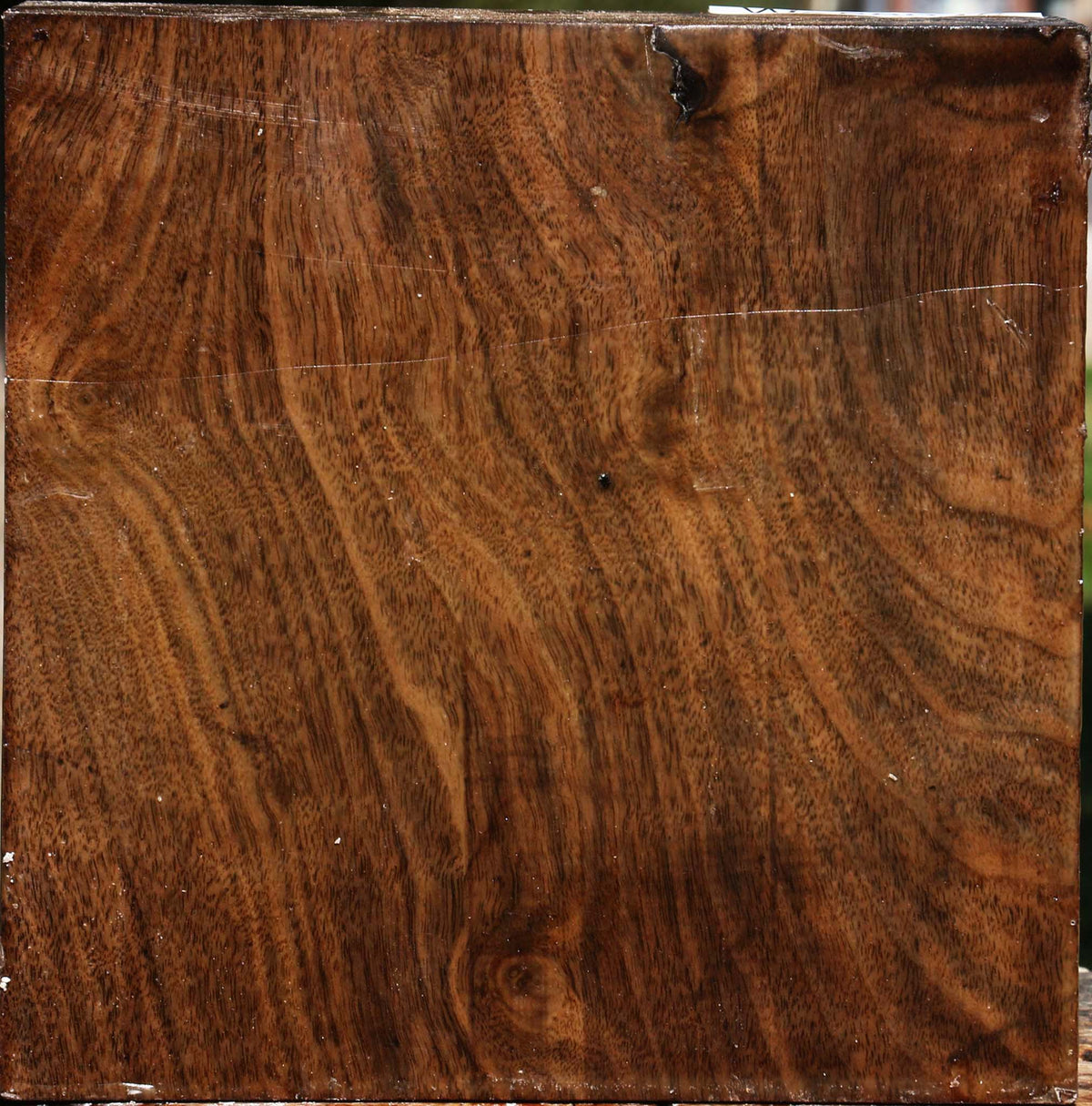 Figured Claro Walnut Bowl Blank