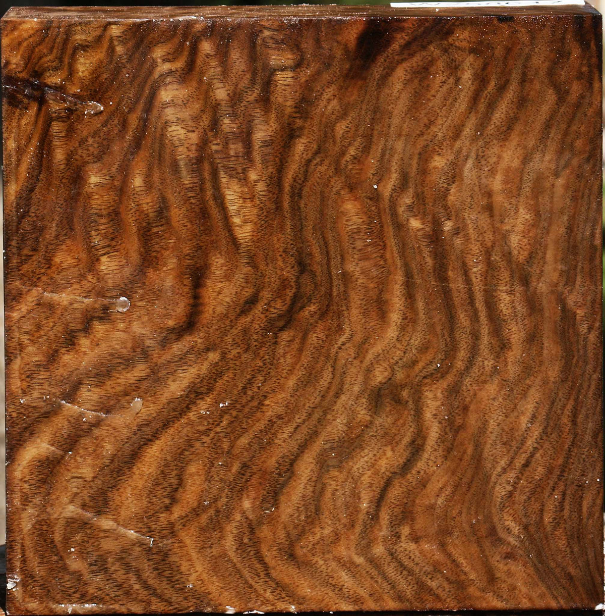 Extra Fancy Claro Walnut Bowl Blank