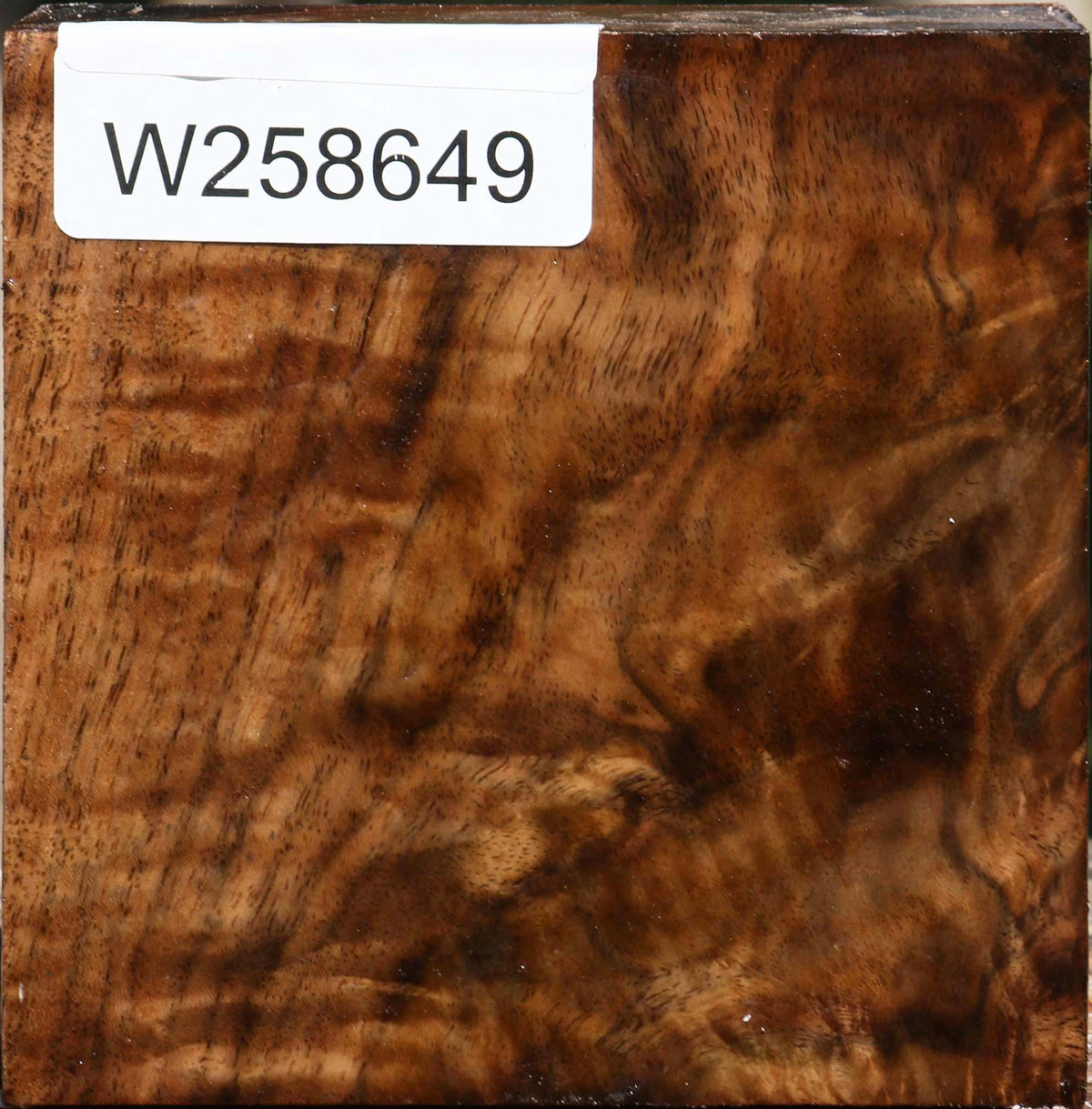 Extra Fancy Claro Walnut Bowl Blank