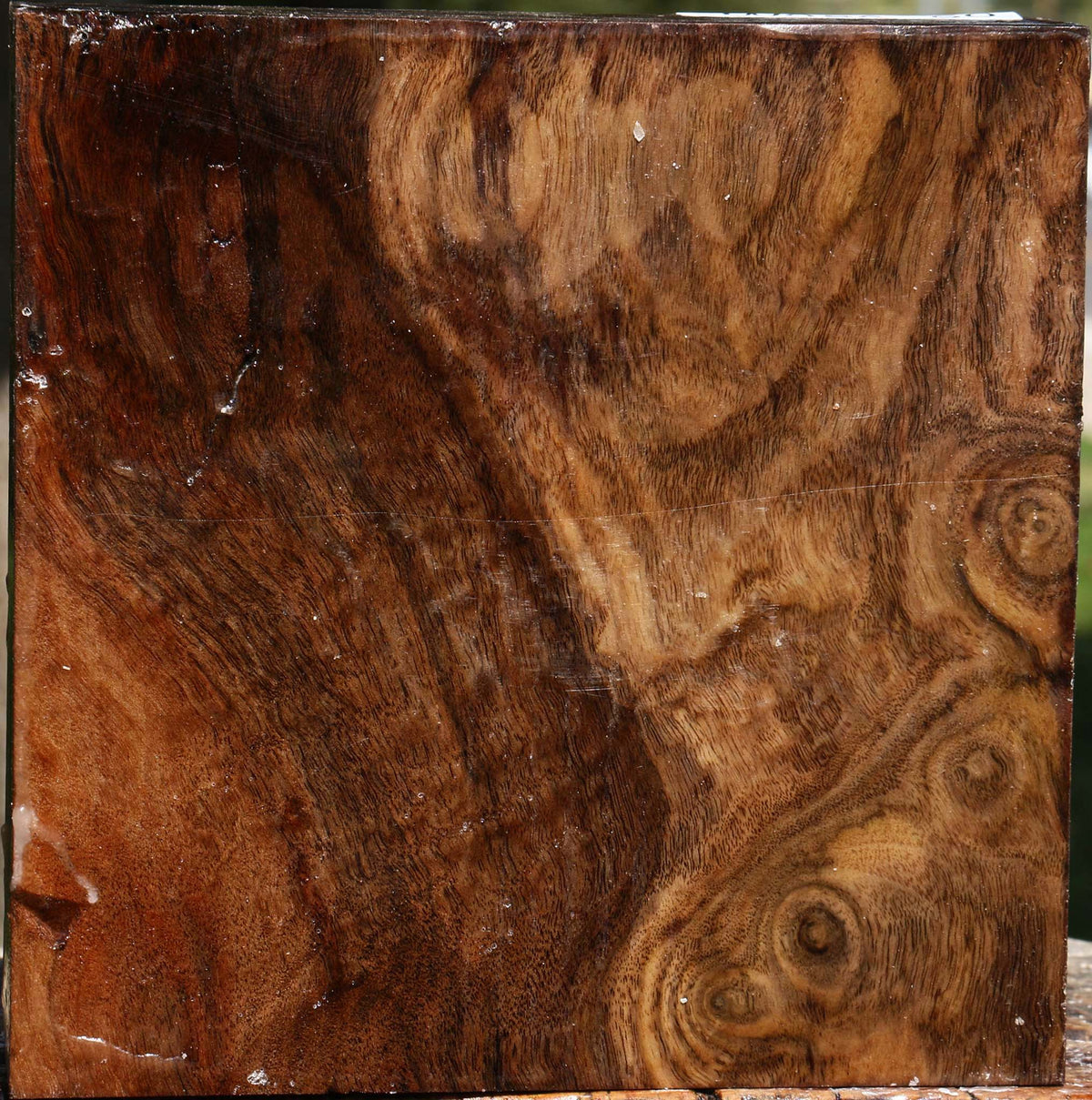 Figured Claro Walnut Bowl Blank