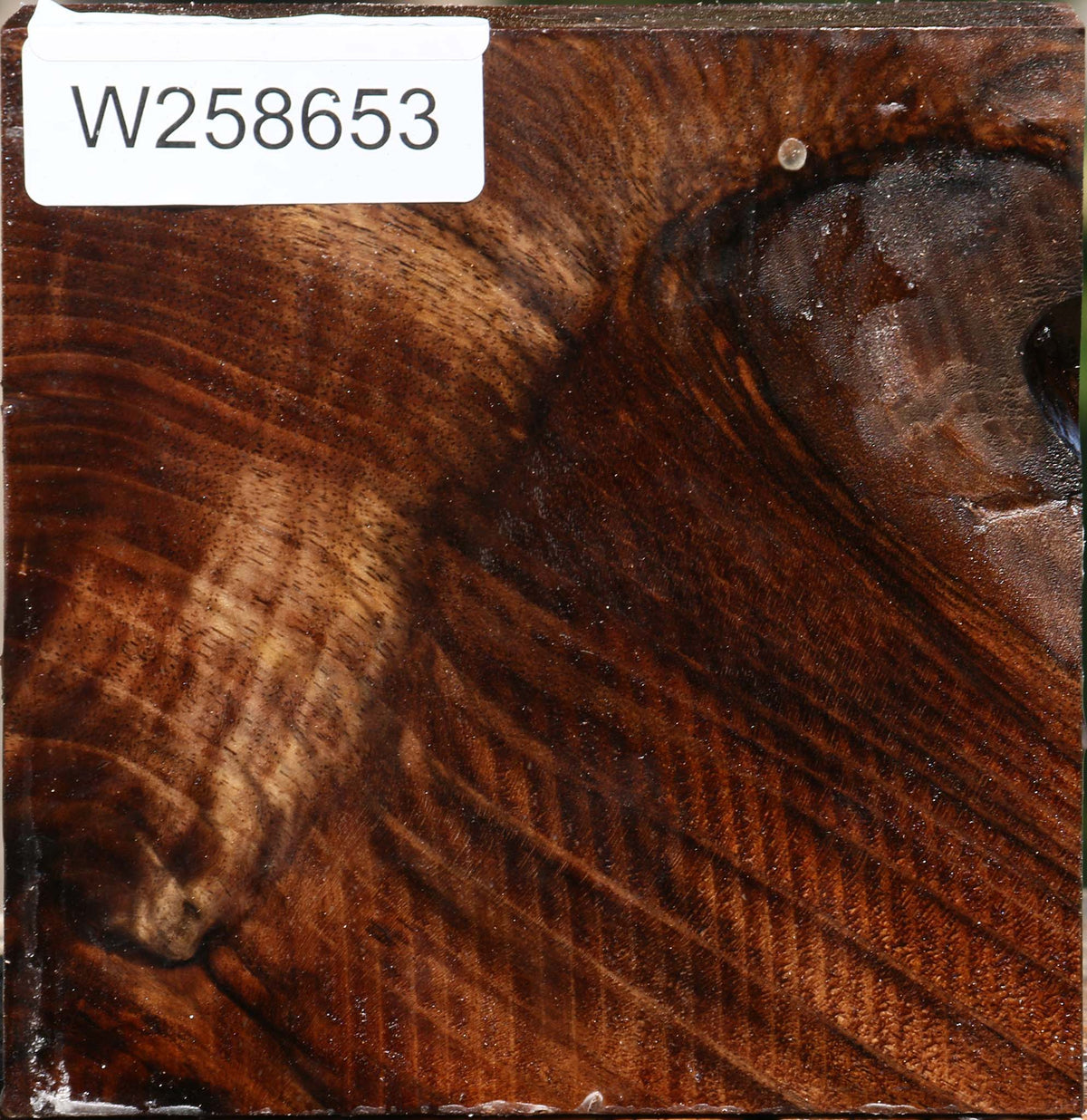 Figured Grafted Claro Walnut Bowl Blank