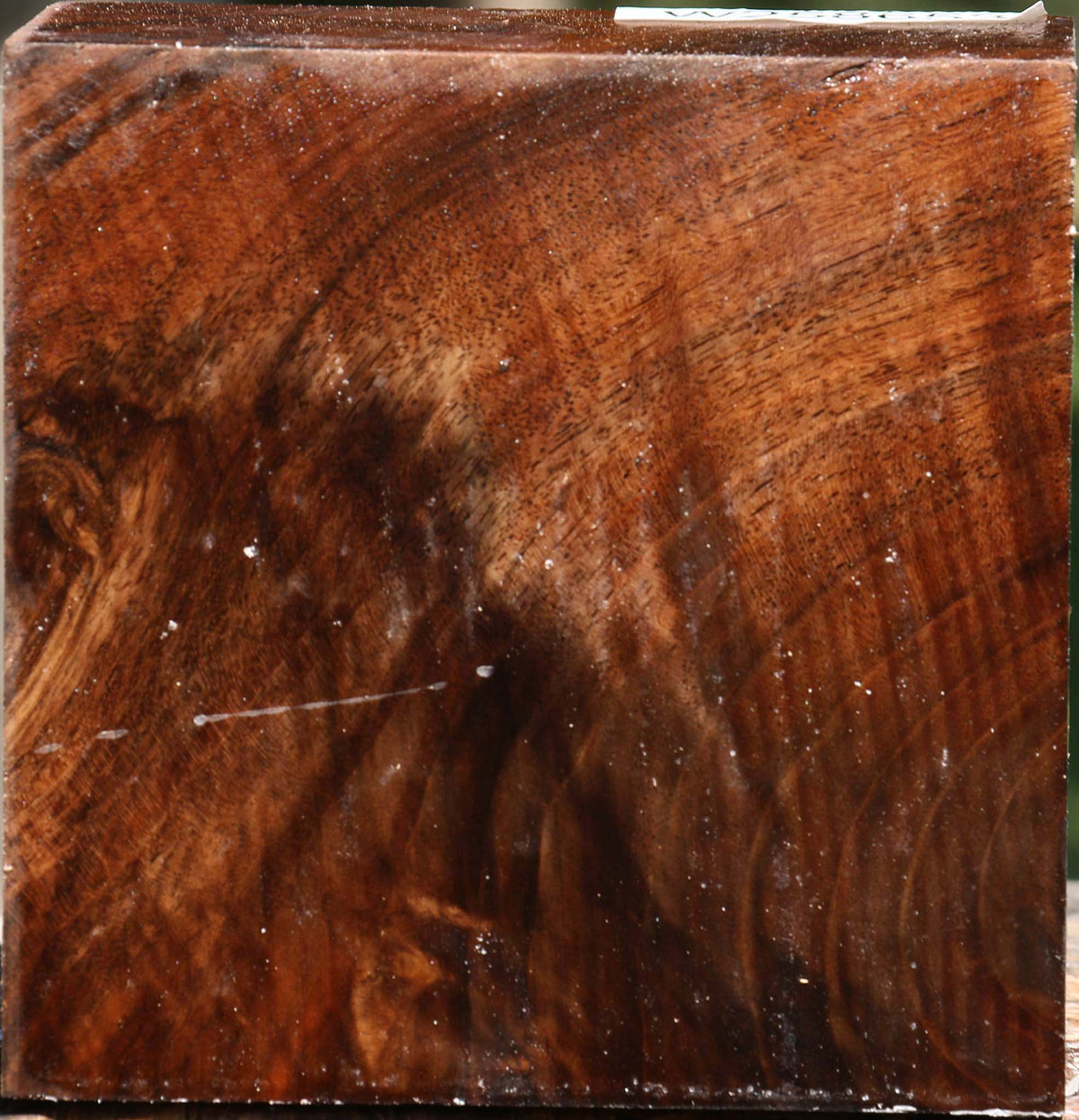 Figured Grafted Claro Walnut Bowl Blank