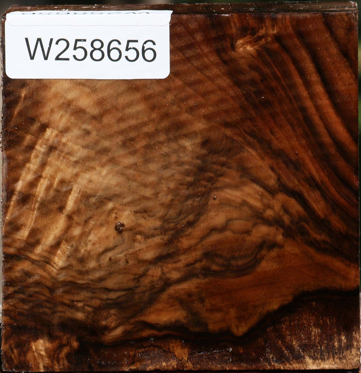 Extra Fancy English Walnut Bowl Blank