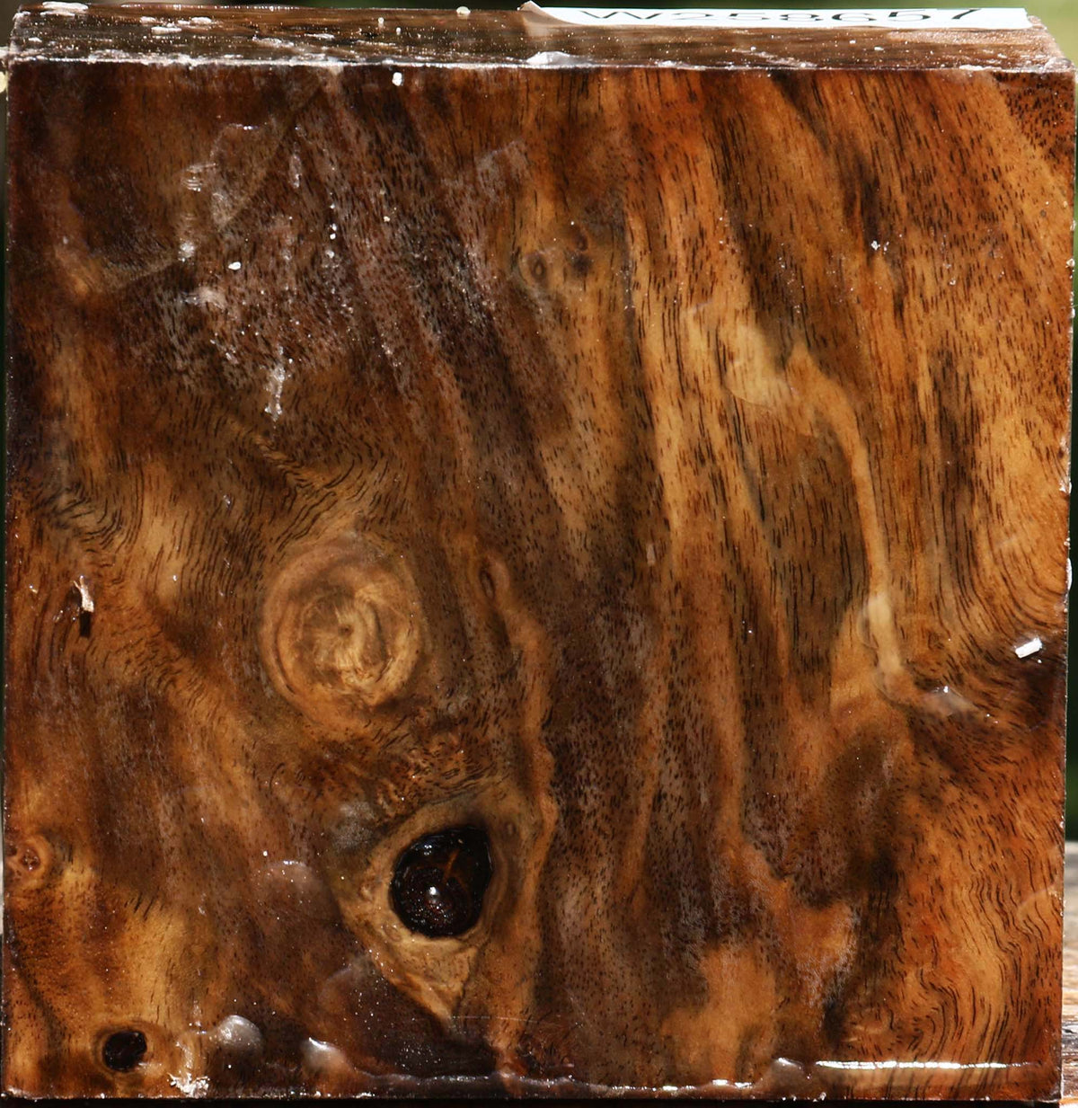 Figured Claro Walnut Bowl Blank