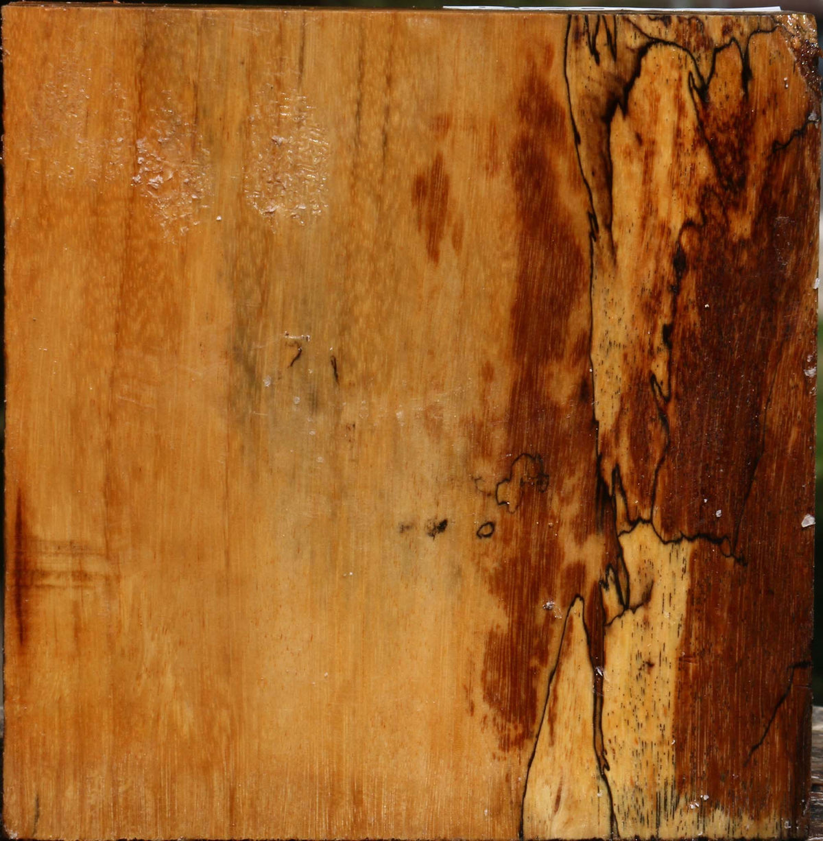 Spalted Tamarind Bowl Blank