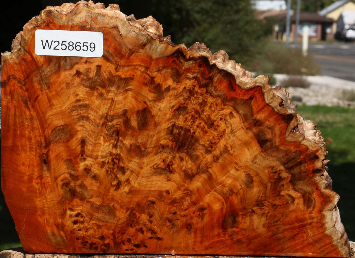 Pernambuco Burl Live Edge Turning Blank