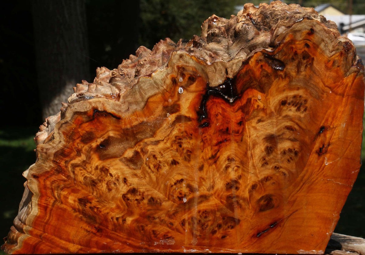 Pernambuco Burl Live Edge Turning Blank