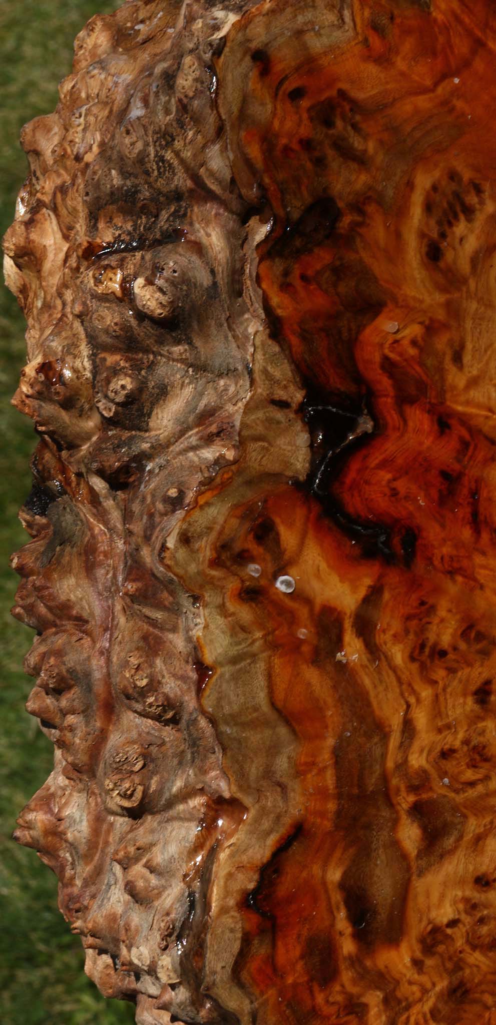 Pernambuco Burl Live Edge Turning Blank
