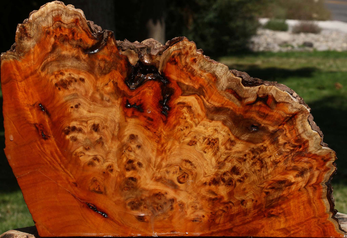 Pernambuco Burl Live Edge Turning Blank