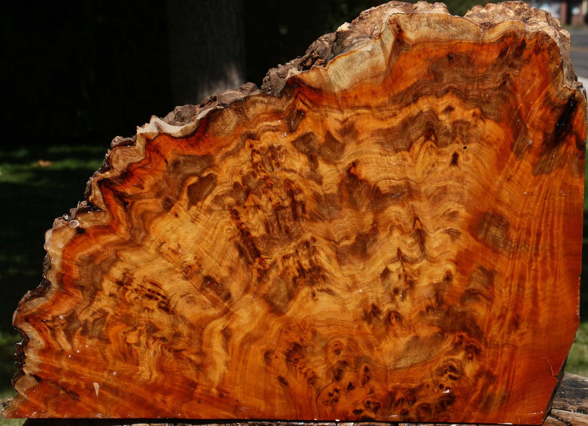 Pernambuco Burl Live Edge Turning Blank