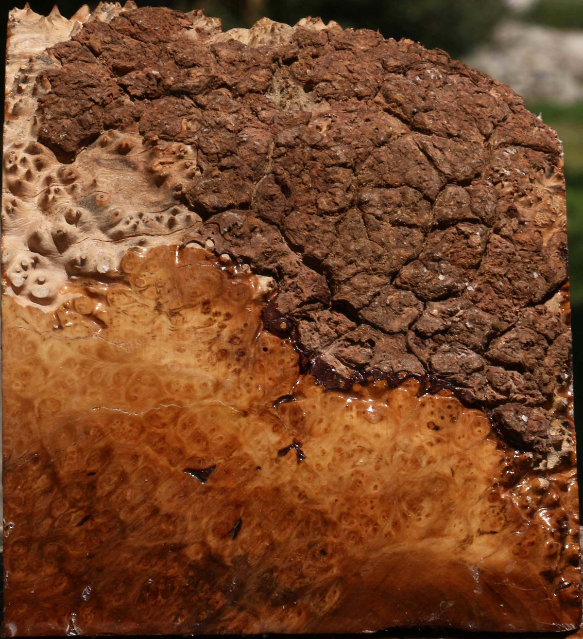 Kanista Burl Live Edge Turning Blank