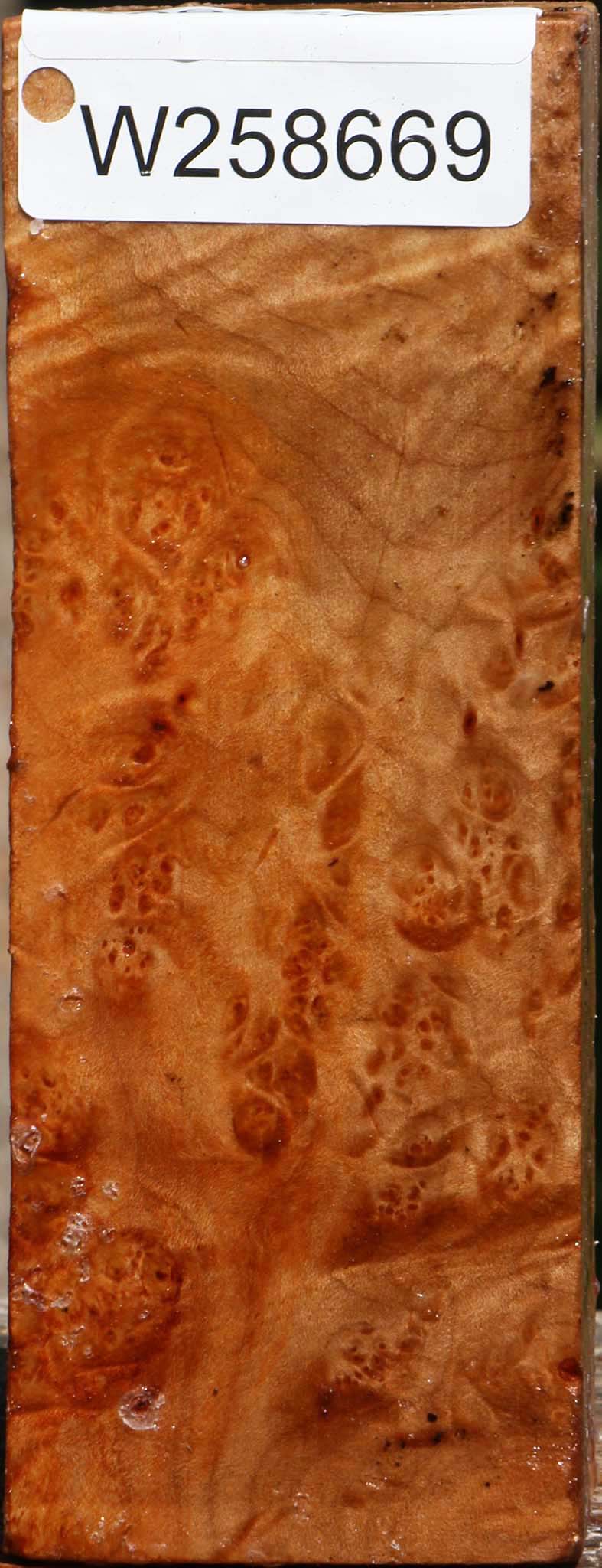Maple Burl Turning Square