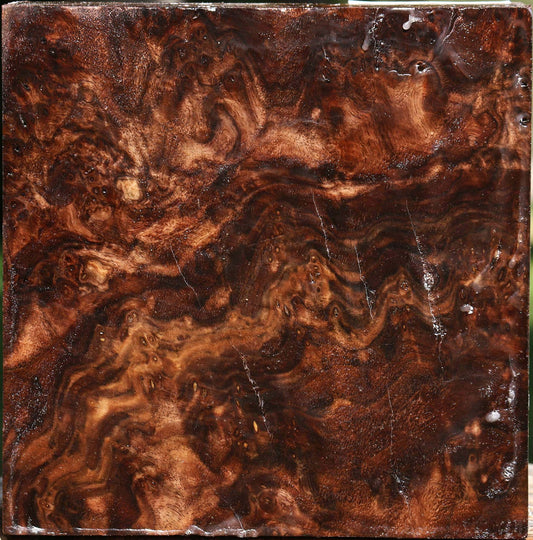 Claro Walnut Burl Bowl Blank