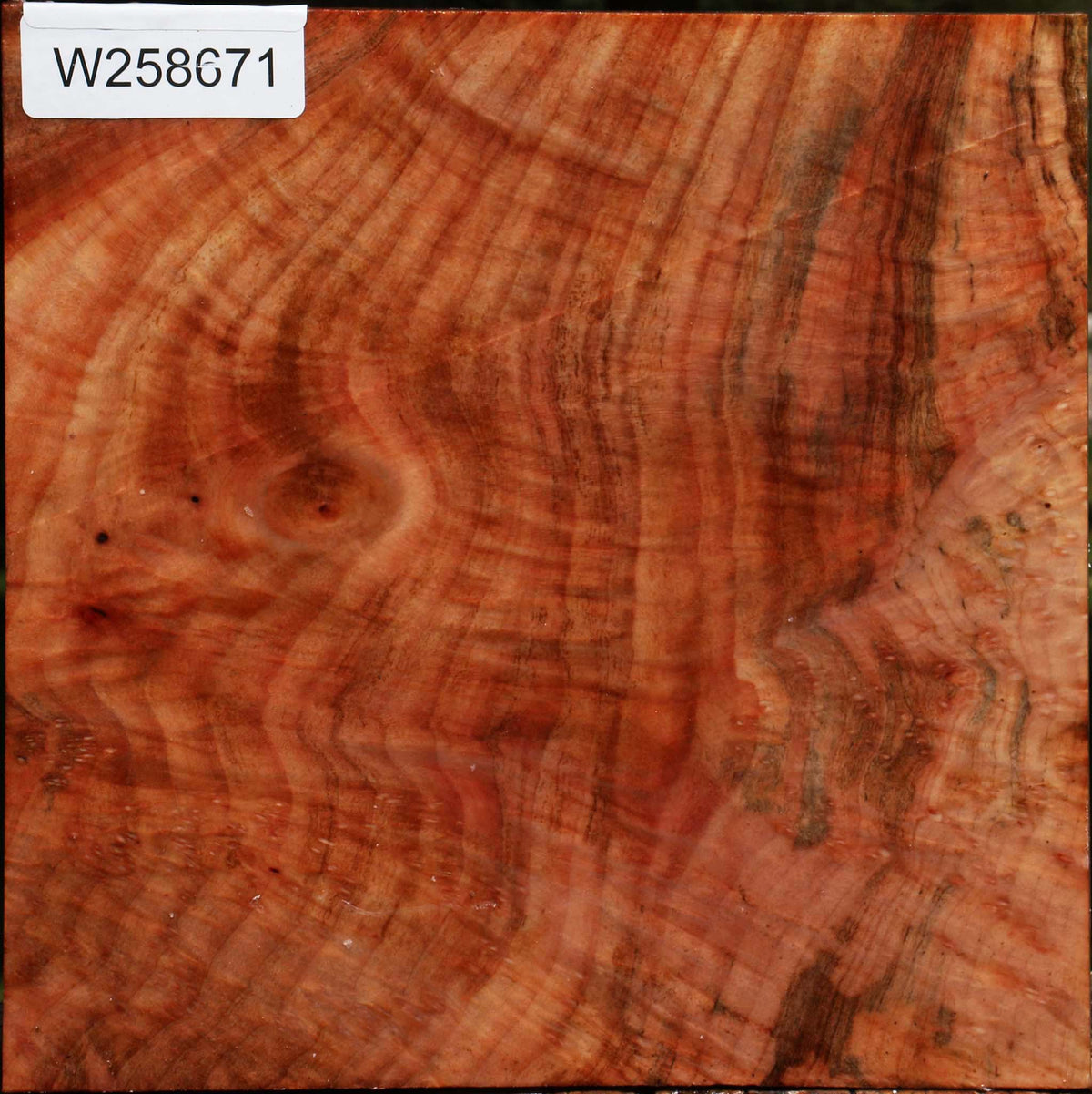 Madrone Burl Bowl Blank
