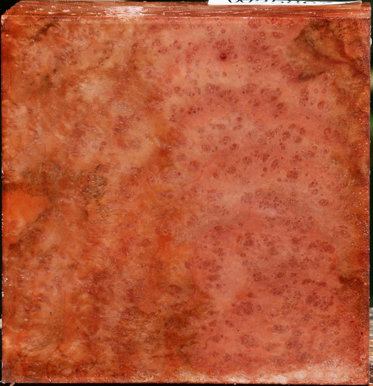 Madrone Burl Bowl Blank
