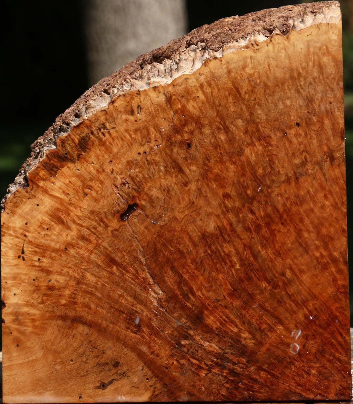 Kanista Burl Live Edge Turning Blank