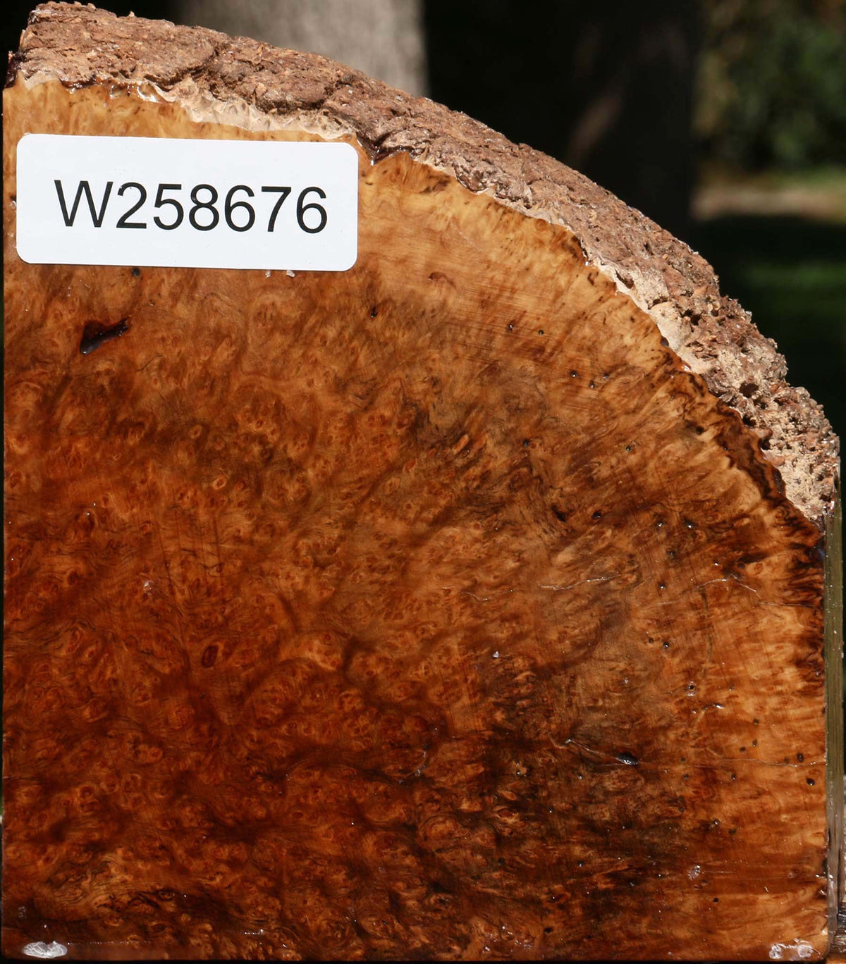 Kanista Burl Live Edge Turning Blank