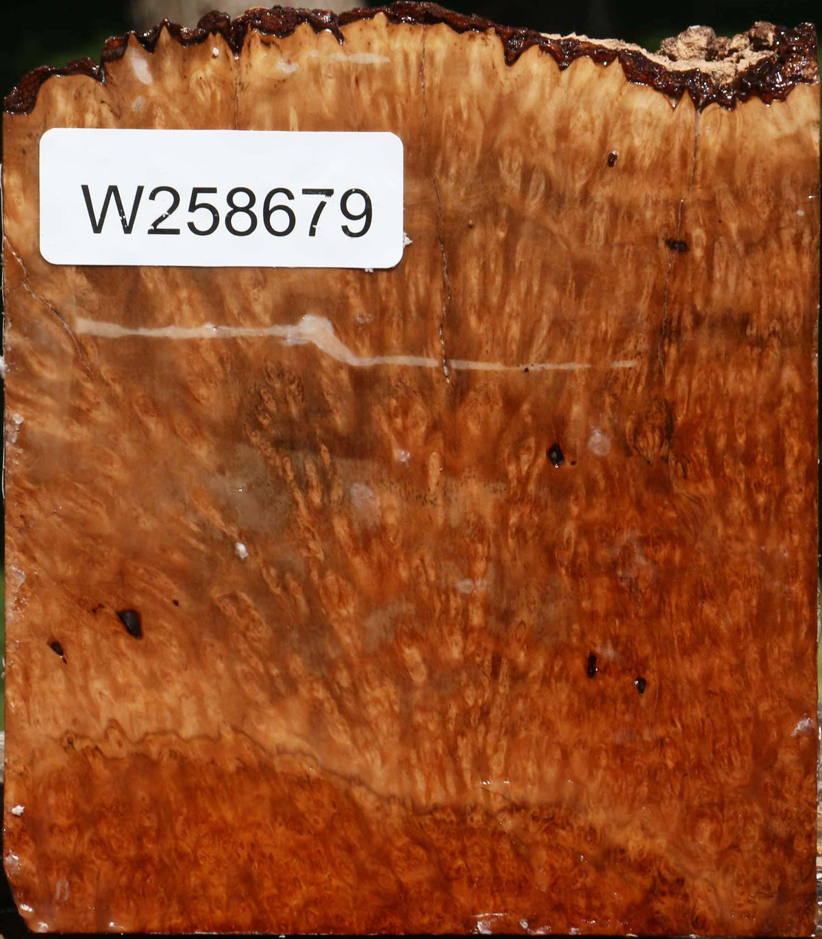 Kanista Burl Live Edge Turning Blank