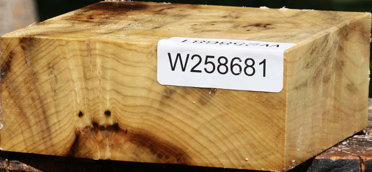 Myrtle Burl Bowl Blank