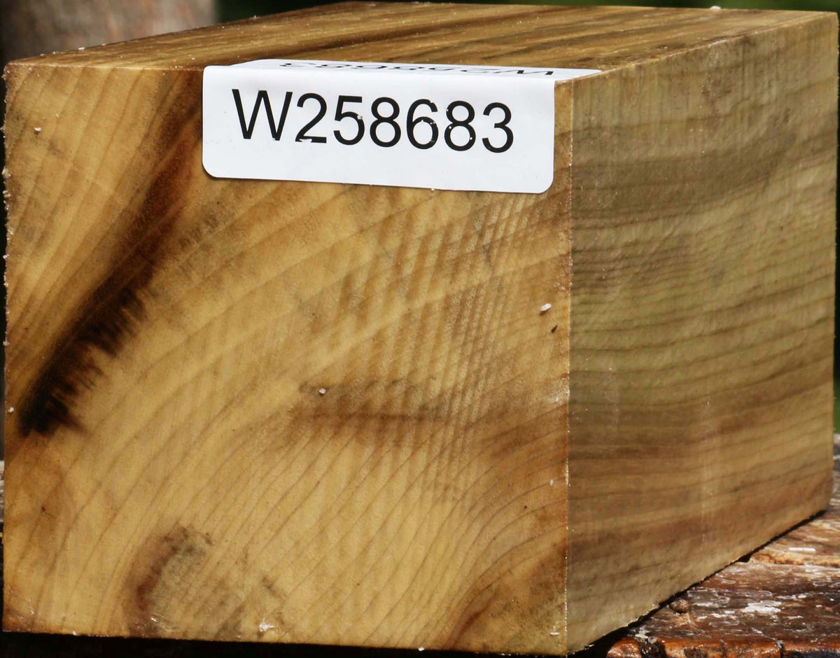 Figured Myrtle Turning Square