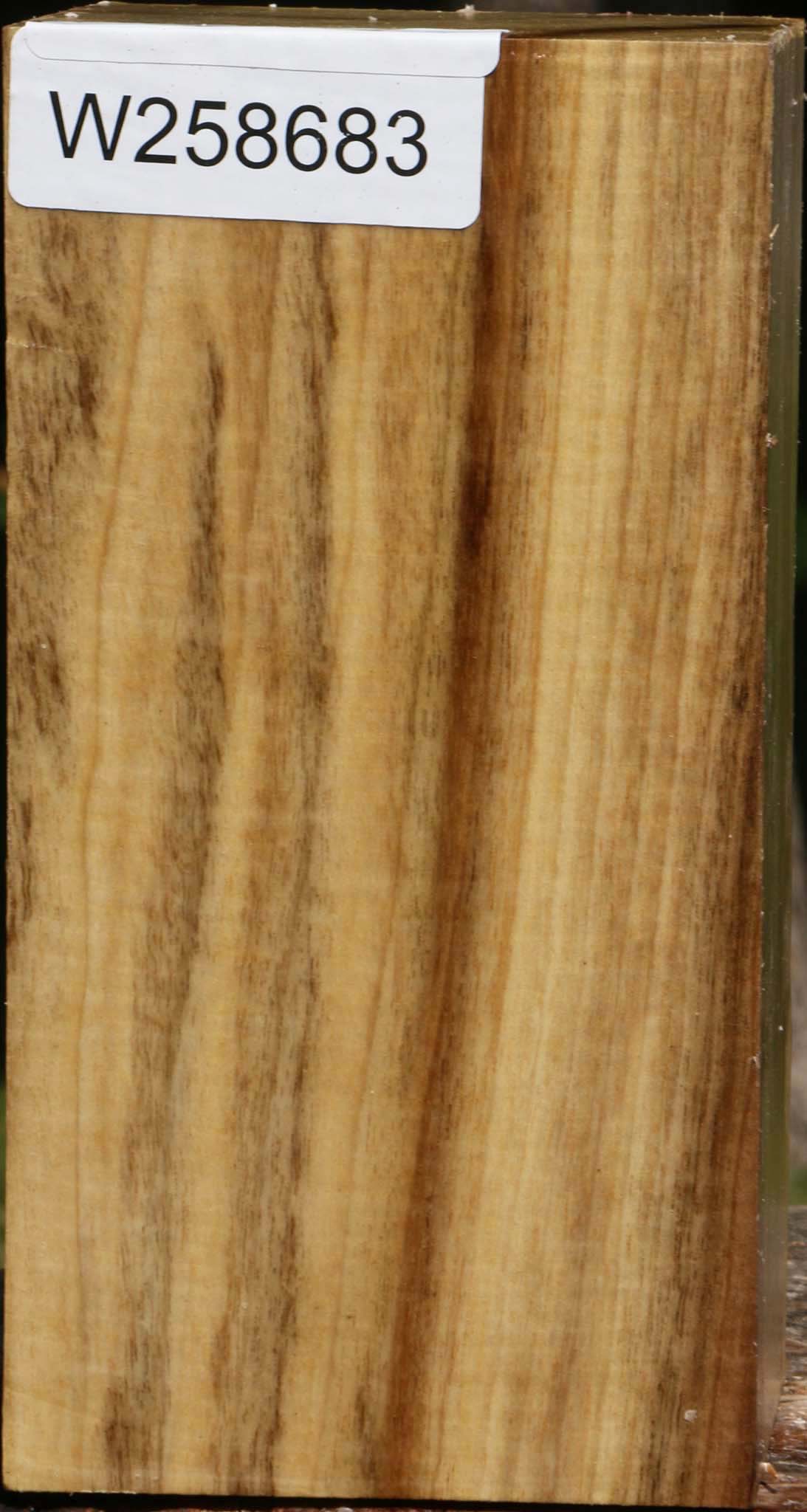 Figured Myrtle Turning Square
