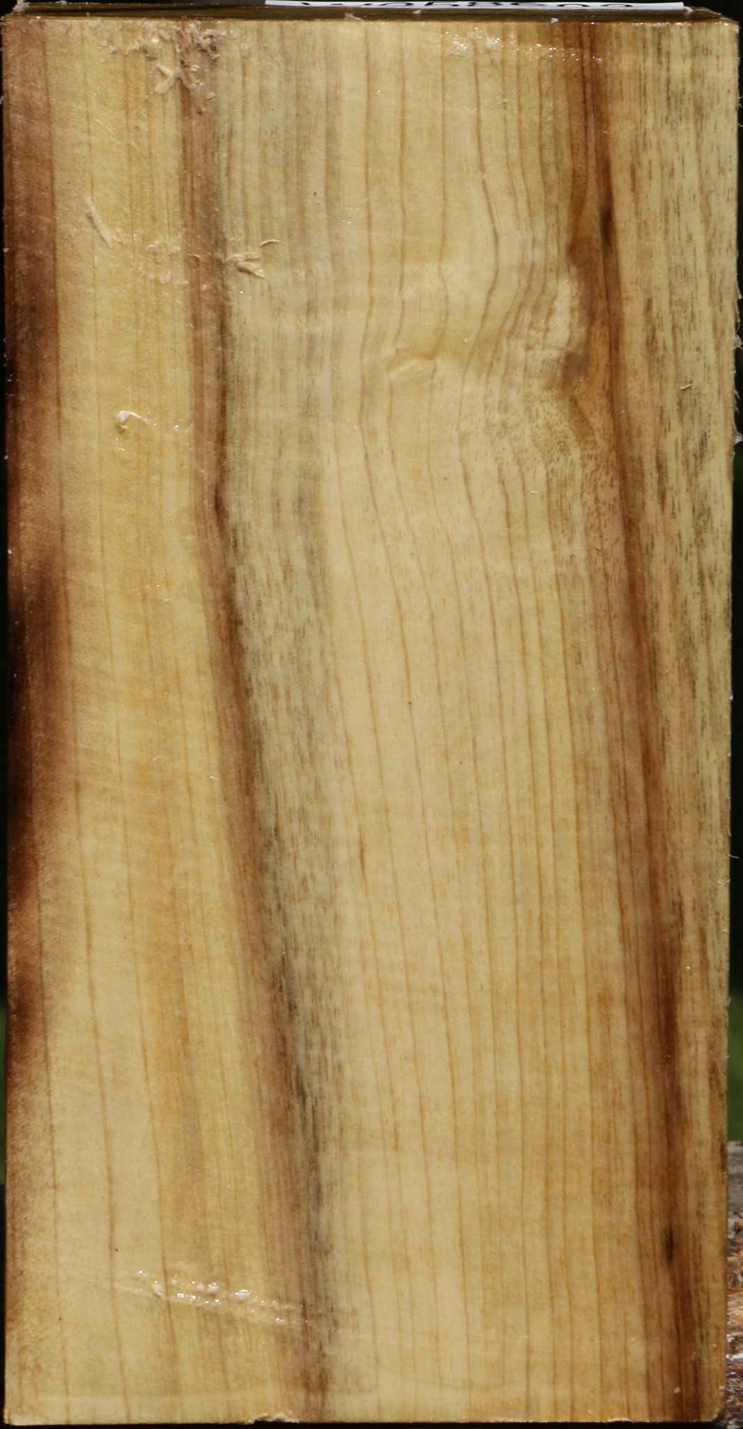 Figured Myrtle Turning Square