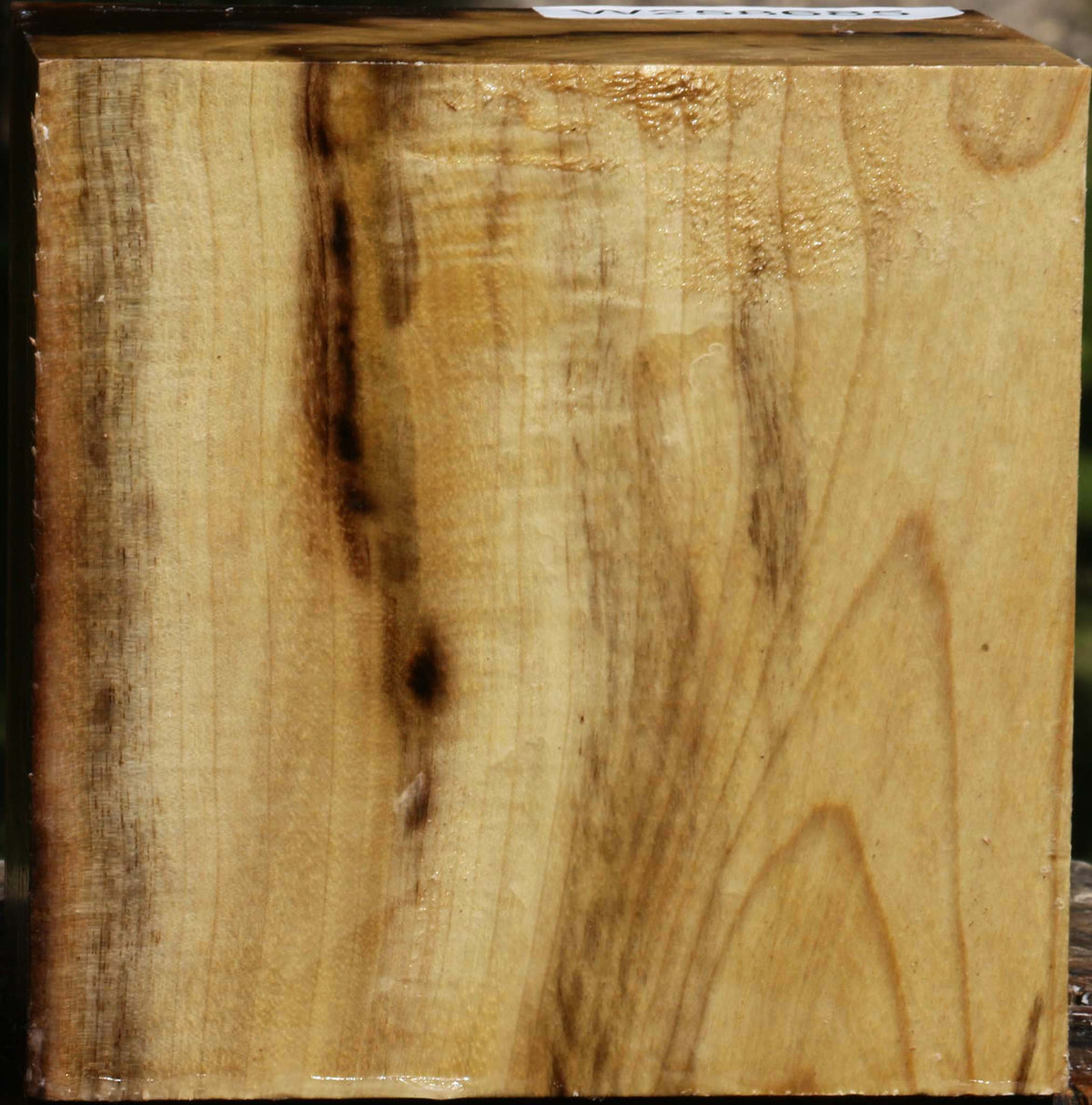 Figured Myrtle Bowl Blank