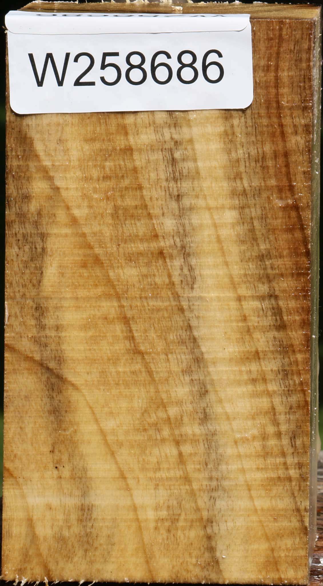 Figured Myrtle Turning Square
