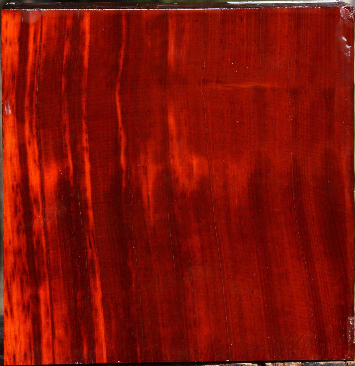 Padauk Bowl Blank
