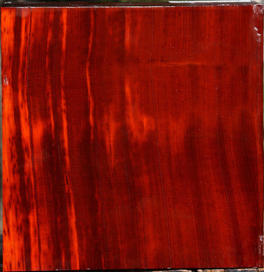 Padauk Bowl Blank