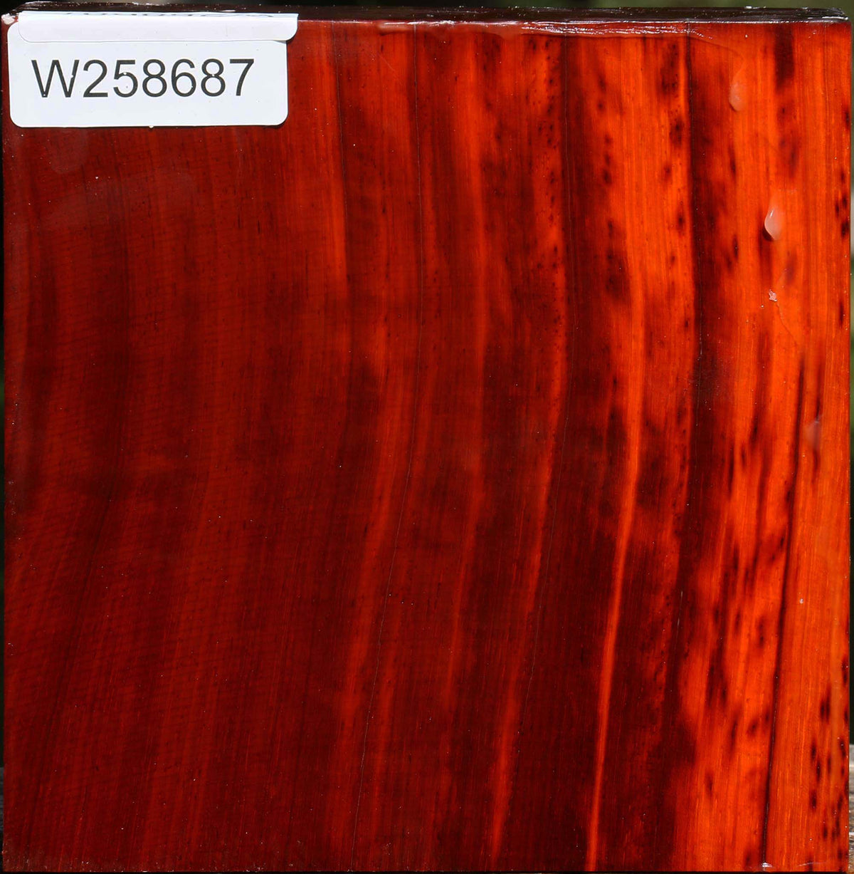 Padauk Bowl Blank