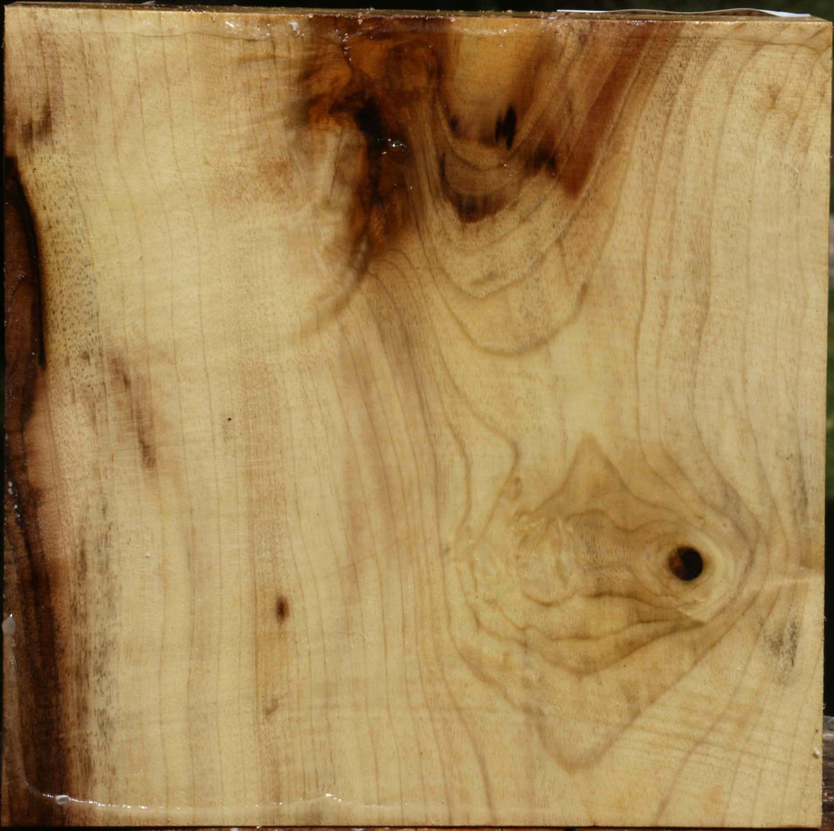 Figured Myrtle Bowl Blank
