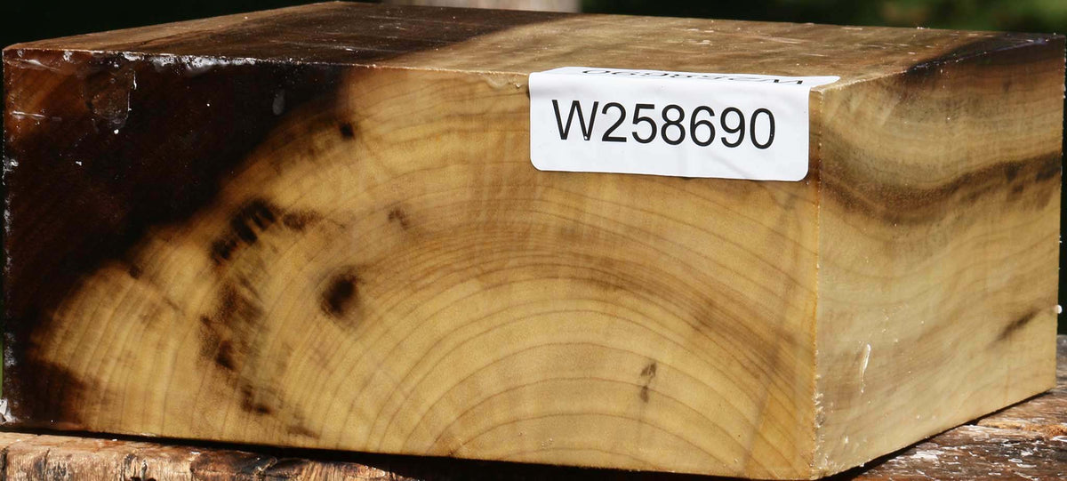 Figured Tiger Myrtle Bowl Blank