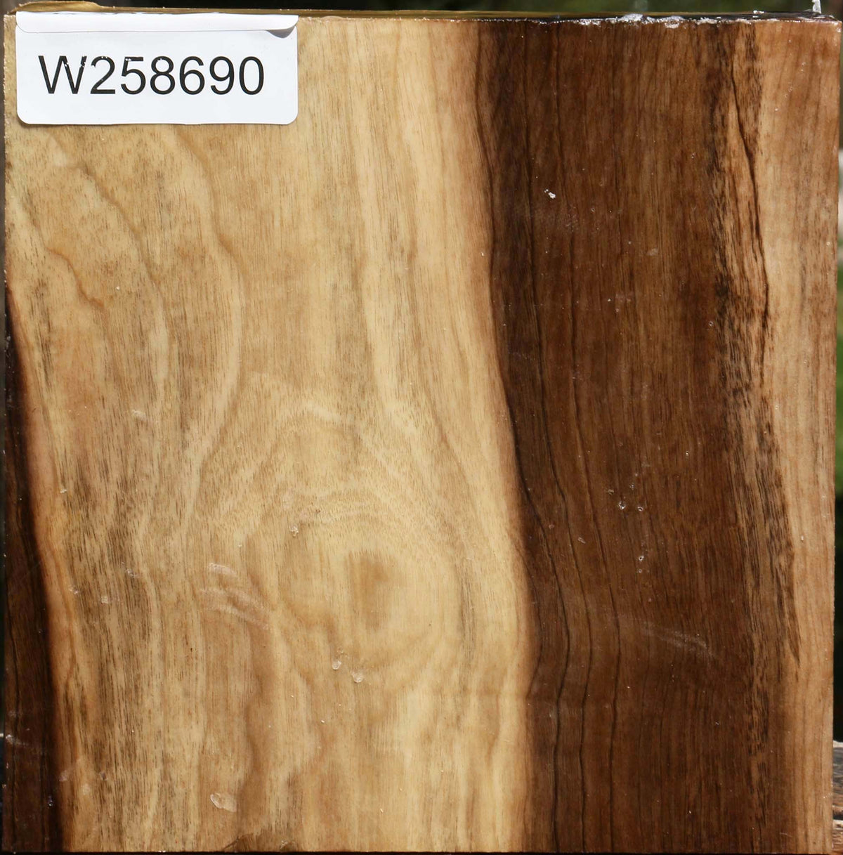 Figured Tiger Myrtle Bowl Blank